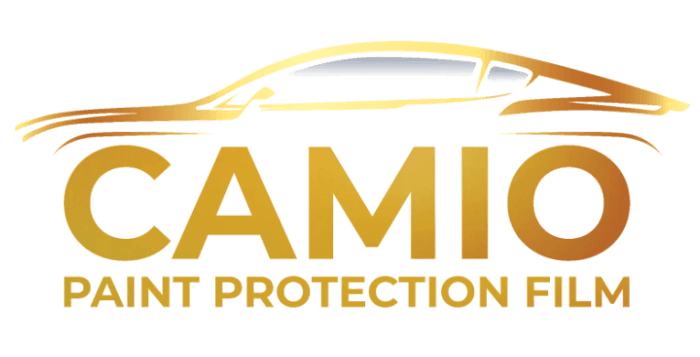 CAMIO Logo